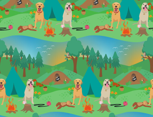 Barney & Summer go Camping