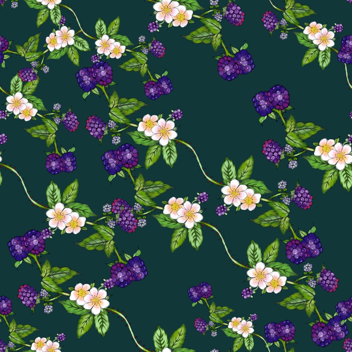 Blackberries
