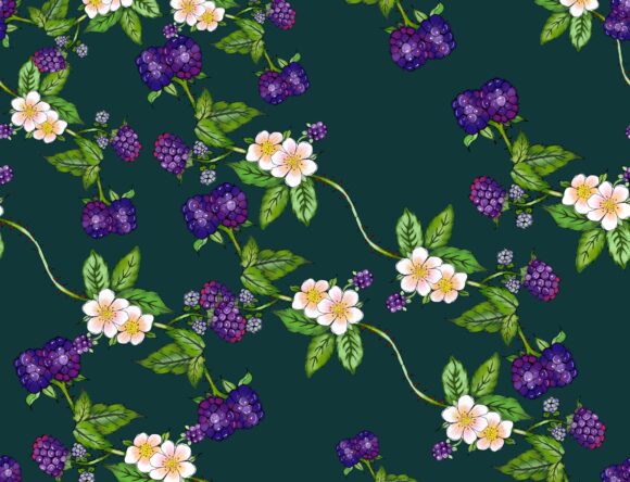 Blackberries