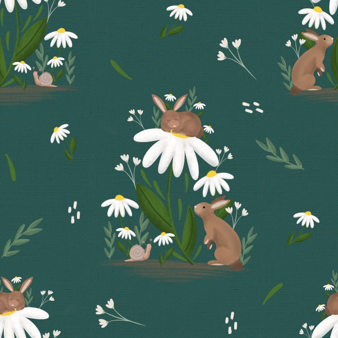 Daisy Bunnies Daisy Bunnies