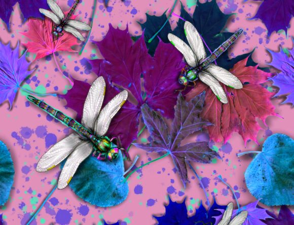 Dragonflies