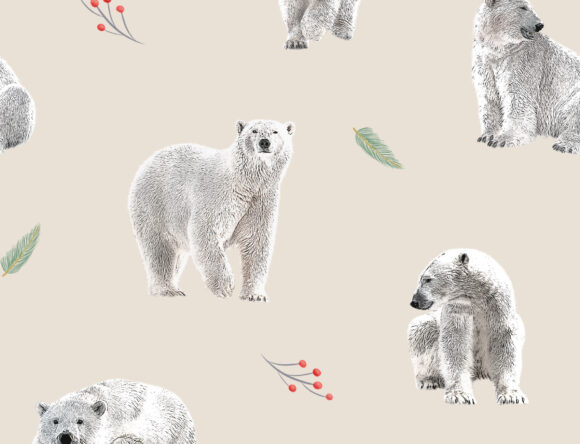Polar Bears